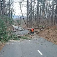 Gasilci so imeli včeraj ves dan v rokah motorne žage - tako so  odstranjevali drevje s ceste za Dobravlje.