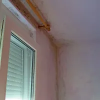 Direktorica stanovanjskega sklada je na sodišču dejala, da plesni ni niti v enem stanovanju v lasti sklada. Dejansko je skoraj v vseh, na kar so najemniki večkrat opozorili. 