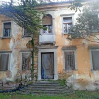 Ob nakupu je Vivoda napovedal, da bo v palači verjetno uredil družinski hotel z butičnim resortom za dobro počutje. Načrti se niso izšli. 