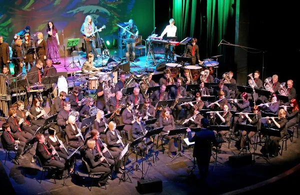 Društvo pihalnega orkestra v Divači, ki mu predseduje občinski svetnik in predsednik občinskega odbora za finance Dobrivoje Subić, prejema v primerjavi z drugimi kulturnimi društvi v občini in v primerjavi z godbami sosednjih občin precej visoko  vsoto