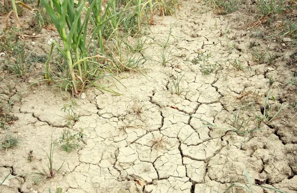 ZDA v prihodnosti grozi velika su&scaron;a