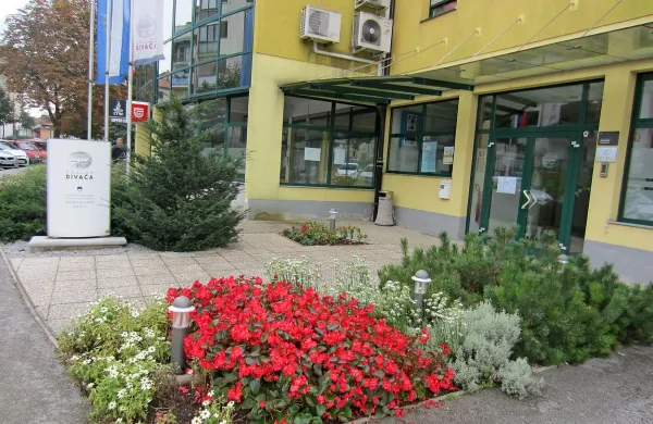 Divaška občina utegne kršiti zakon o uresničevanju javnega interesa za kulturo, ko  pihalnemu orkestru dodeljuje denar brez točkovanja. 