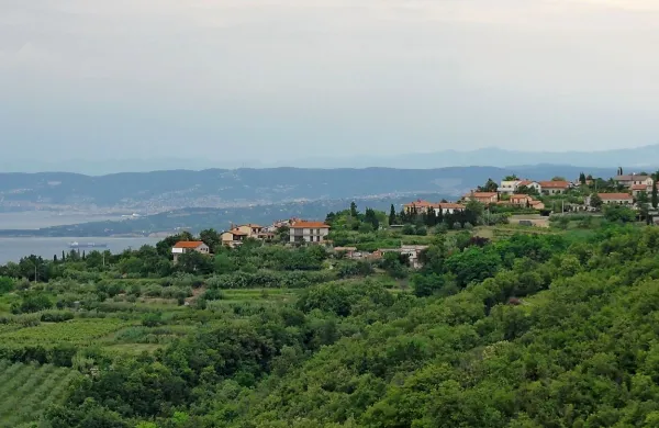 Med nepremičninami, namenjenimi prodaji, občina stavi  na   zemljišča na Šaredu. 