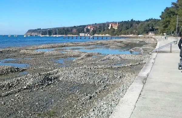 Prod na kupe, da morje spere mulj