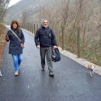 Izvajalci del morajo med drugim postaviti še leseno varovalno ograjo na jeklene stebre ob poti.