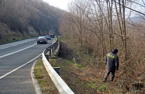 Policisti so orožje iskali ob cesti med Šmarjami in Dragonjo. 