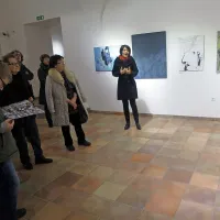 Sinjevr&scaron;ki Pogled od zgoraj