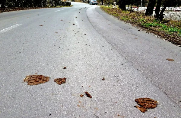 Neočiščena zemlja predstavlja veliko nevarnost na cesti.