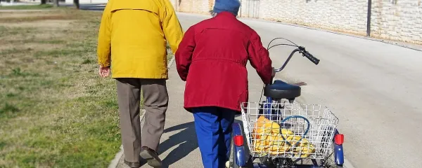 Niso vsega krivi upokojenci