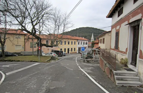 Vidmašče v Sežani
