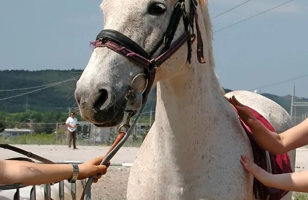 Fotografija je simbolična.