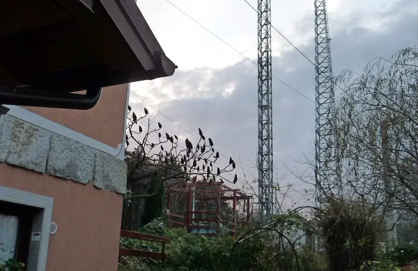 Ali so bazne postaje obremenjujoče v razdalji 11,5 metra, 16 ali 46 metrov, ostaja nepojasnjeno. Ta pri Žirjah je od hiše oddaljena manj kot 20 metrov.
