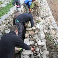 Kras je že izgubil veliko kamnitih zidov, zgrajenih brez malte.  Nadaljnje izgube bo poskušal ustaviti konzorcij za suhozidno gradnjo.