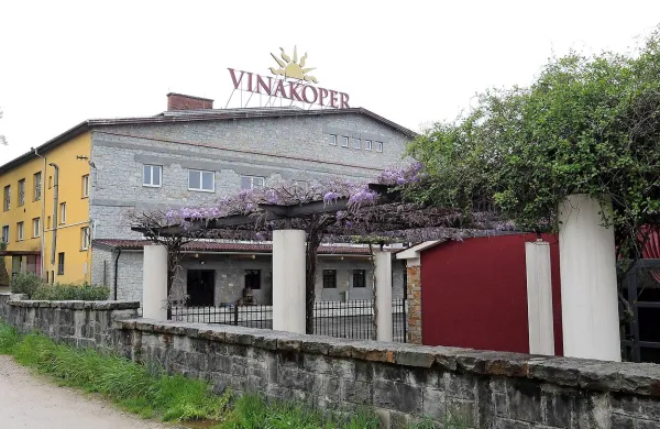 Uprava in nadzorniki Vinakopra so še brez razrešnice.
