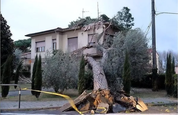 Pisa danes.