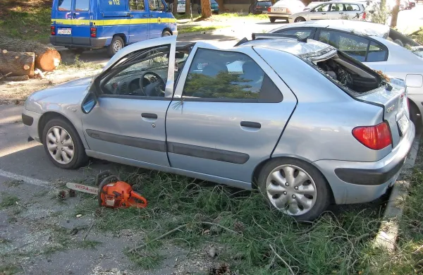 Drevo v Kopru padlo na pet avtov