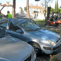 Drevo je padlo na pet avtomobilov.