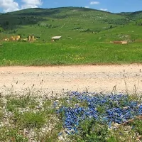 S takšnimi posnetki ostankov streliva, ki lahko onesnažijo vire pitne vode, je AAG včeraj pospremil vložitev pobude za ustavno presojo uredbe o DPN za vadišče na Počku.