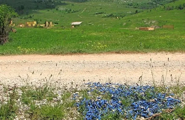 Na osrednjem vadišču Slovenske vojske (SV) Poček bo do petka  usposabljanje usmerjevalcev združenega ognja, na katerem sodelujejo šolani usmerjevalci iz enot SV ter zračnih in kopenskih sil ZDA, ki imajo sedež v Nemčiji oziroma Italiji, so sporočili iz
