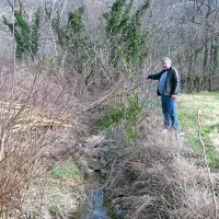   Ko posekajo rastje na trasi daljnovodov, veje pustijo tudi v vodotokih.