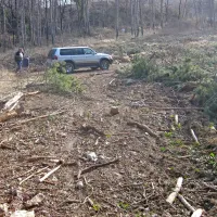 Ker po požaru niso odstranili vseh ožganih dreves, so pred nekaj tedni na območju pod kamnolomom popadala na žice in jih potrgala. Zdaj so traso daljnovoda počistili, za sabo pa pustili  uničeno pot.