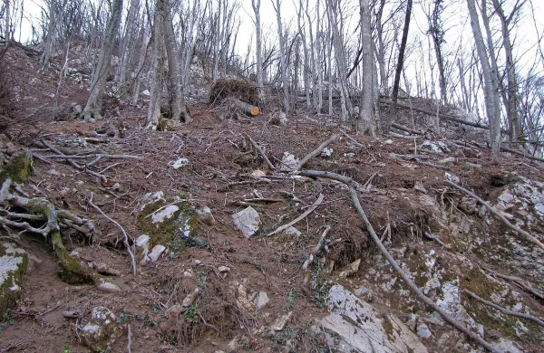 Tragična nesreča se je zgodila med pripravljanjem drv. Domačin se je skotalil po bregu na betonsko gozdno pot in obležal. 