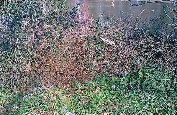 Ekološka patrulja Alpe Adria Green se je v torek na poziv občanov odpravila do jezer v Fiesi in ugotovila, da je območje popolnoma opustošeno.