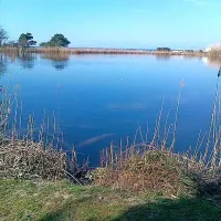 Eko patrulja zgrožena nad opusto&scaron;enjem v Fiesi