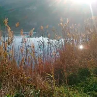 Eko patrulja zgrožena nad opusto&scaron;enjem v Fiesi