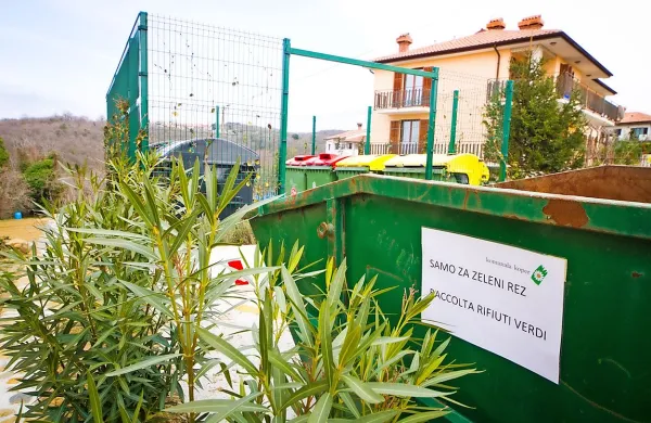 Komunala Koper začenja  akcijo zbiranja zelenega reza po posameznih krajevnih skupnostih v Mestni občini Koper in v Občini Ankaran.