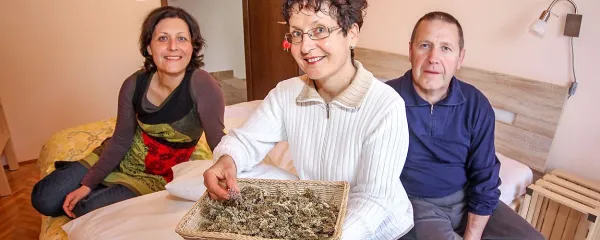 Vesna, Karmen in Ivan Velišček v Plavah nudijo spanje na 
zeliščih in promovirajo “počasni turizem”. 