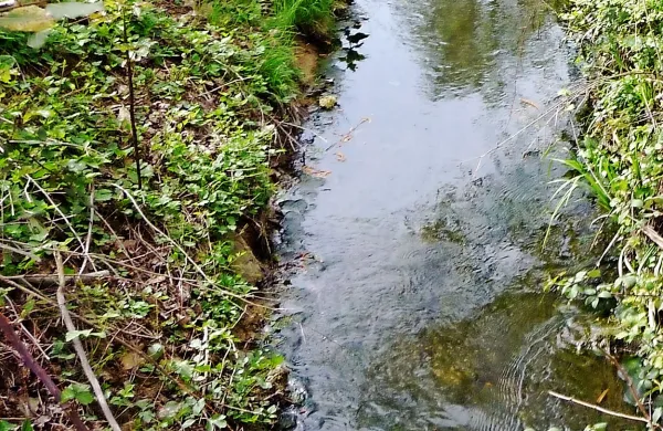 Fotografija je simbolična.