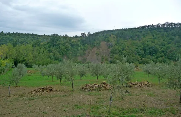 Fotografija je simbolična.