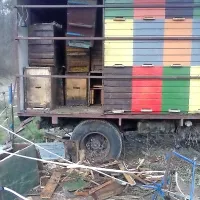 Takšno razdejanje je medved pustil na Atelškovem čebelnjaku pri Dolnjih Vremah. 