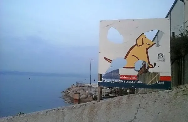 Moteče  pasje kopali&scaron;če?