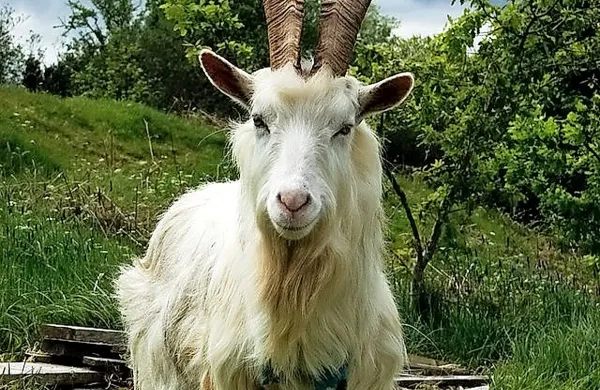 Fotografija je simbolična.