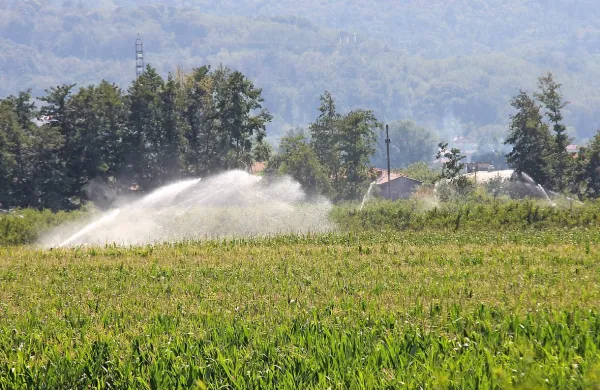  Poraba vode je trenutno tako velika, da bi lahko svet do leta 2030 doživel 40-odstotni vodni primanjkljaj.