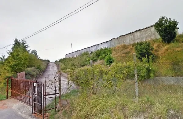 Po naših informacijah ima že nekaj časa v prostorih nekdanje farme na Belvedurju začasno delavnico eden od lokalnih mizarjev.  