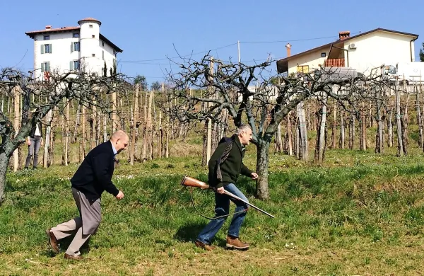 Eno od prizorišč Štorije so tudi briške brajde, kjer mora Berto (Janez Starina) kdaj poprijeti tudi za puško