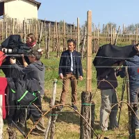 Snemalna ekipa na delu, igralec Vojko Belšak čaka na znak za začetek snemanja. Ob njem asistentka režije Pila Rusjan.  