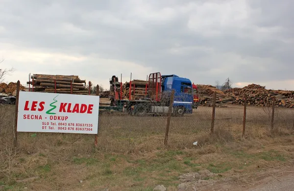 Območje, ki sta ga zdaj od Javorja v likvidaciji najemala 
avstrijska Holz Klade in Silvanus, je na dražbi kupilo podjetje 
Publicus. 