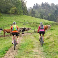 Po Šentviški planoti je razpredenih več kot 40 kilometrov za kolesarjenje zelo vabljivih cest in poti. Le vzpon iz doline se vleče.  