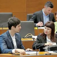 Pobudniki   zbrali  podpise, DZ zavrnil referendum
