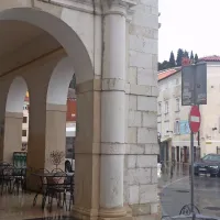 Grb zgrmel na tla