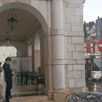 Grb zgrmel na tla