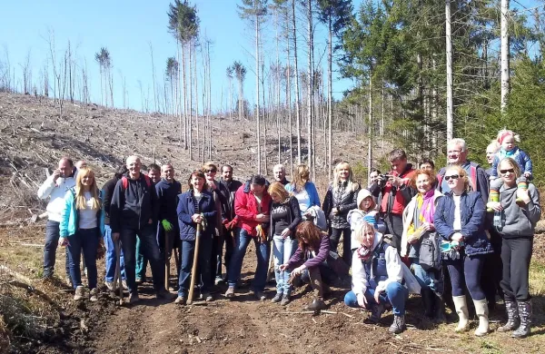 Rotarijci in lionsi so posadili 200 smrek in bukev