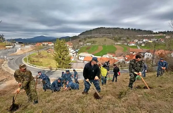 Slovenski in ameriški vojaki so v Pivki zasadili 330 dreves.