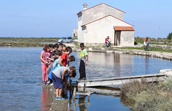 Muzej solinarstva, ki bi moral danes odpreti vrata in začeti 
novo sezono, ostaja zaprt.