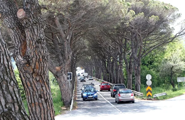  Z odprtjem odseka hitre ceste Koper-Izola se bo po pričakovanjih občutno povečala obremenitev državne ceste Strunjan-Valeta-Sečovlje (na fotografiji). 