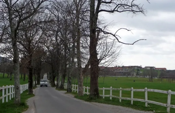 O prihodnosti lipiškega turizma se bodo najprej opredelila 
pristojna ministrstva in šele nato vlada.